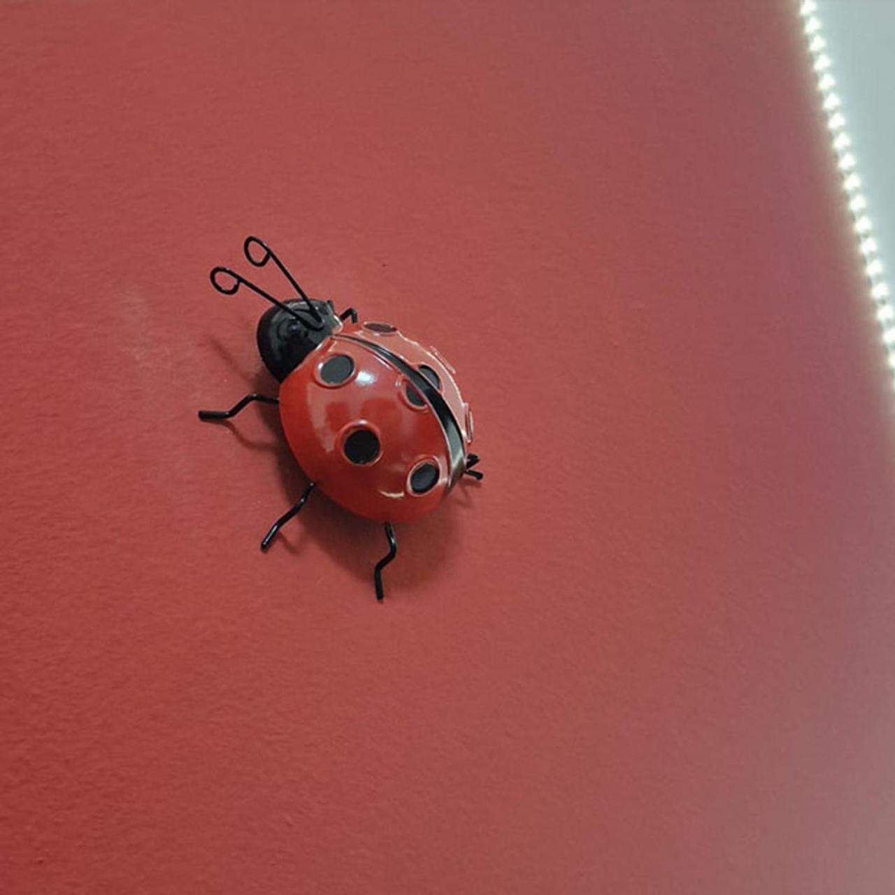 Casa Fortunata Con Parcheggio Livorno Exteriér fotografie